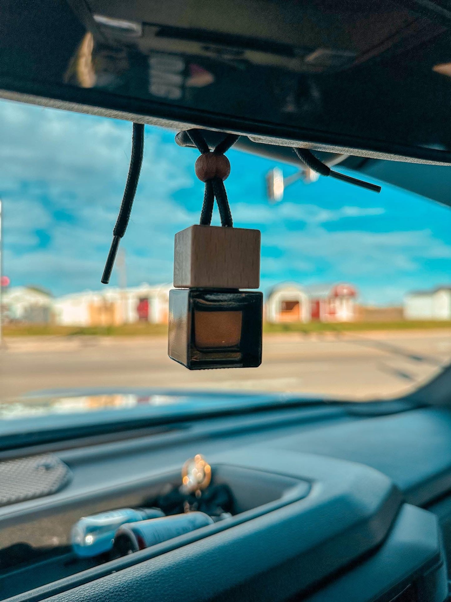 The Hive's Hodgepodge Hanging Diffusers